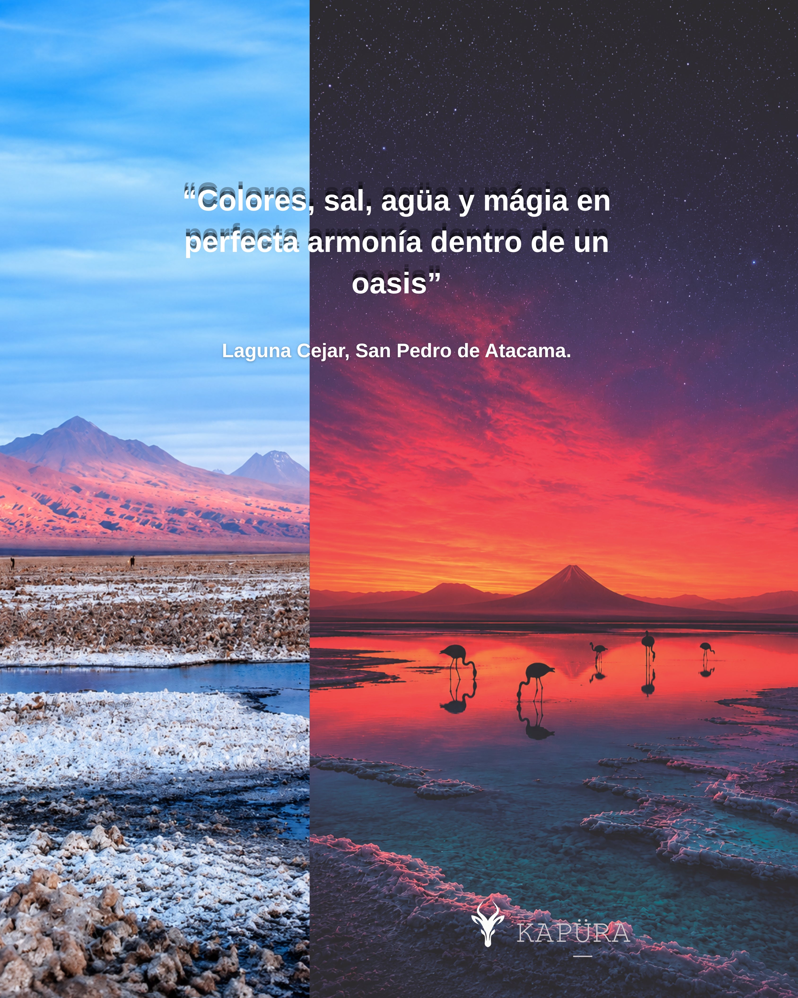 “Laguna cejar” - San Pedro de Atacama.