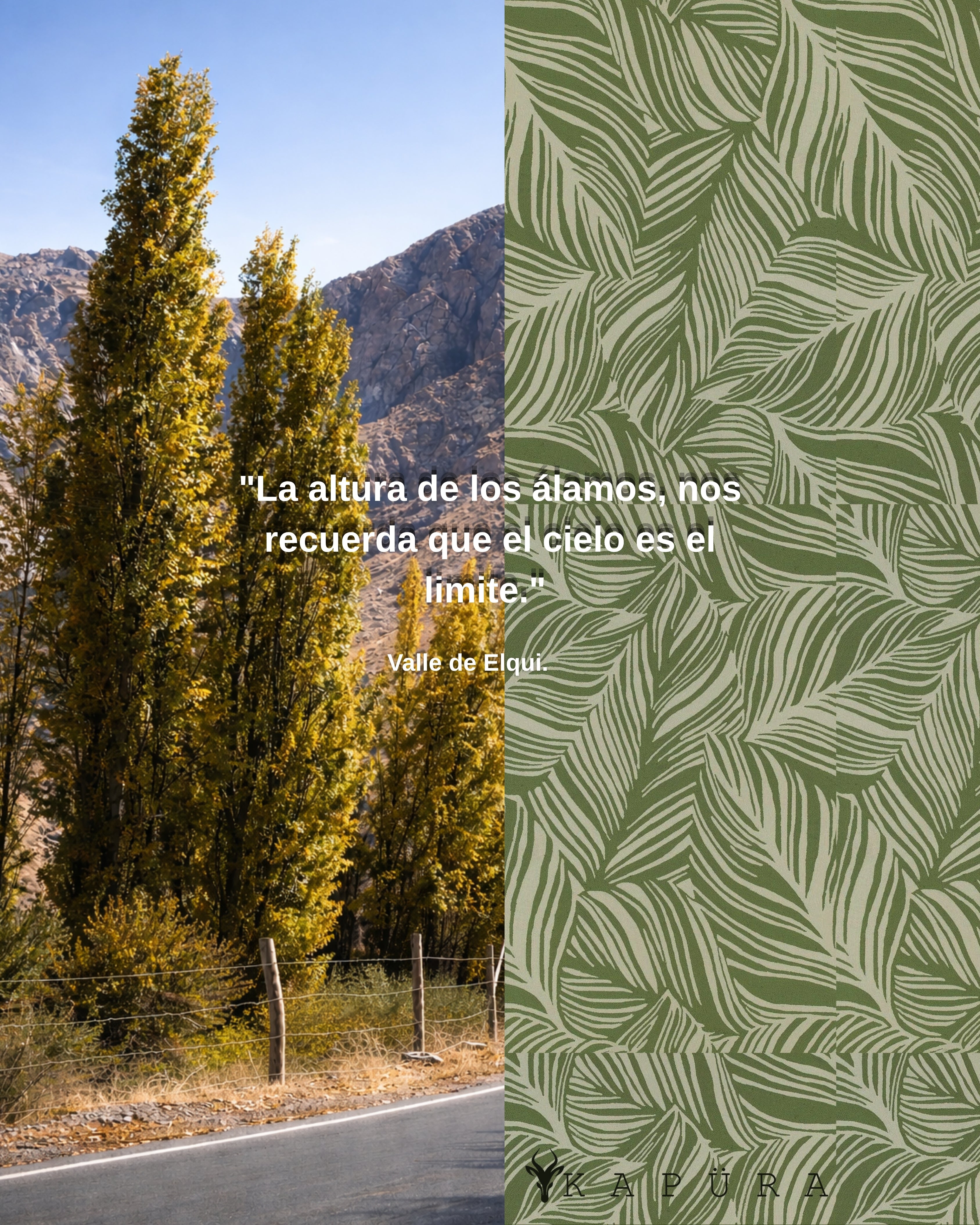 “Elqui Verde” - Valle de Elqui.